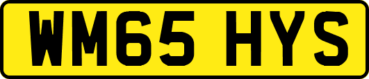 WM65HYS