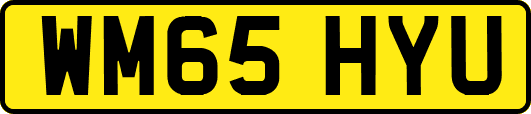 WM65HYU