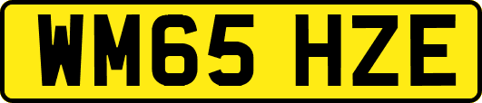 WM65HZE