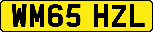 WM65HZL