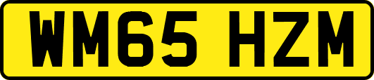 WM65HZM