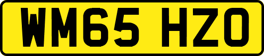 WM65HZO