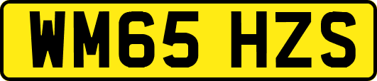 WM65HZS