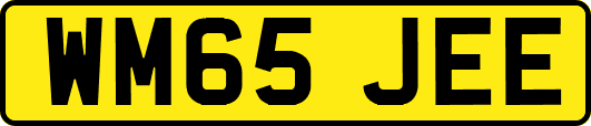 WM65JEE