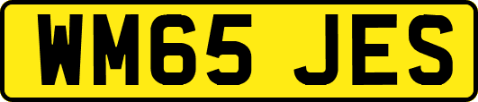 WM65JES