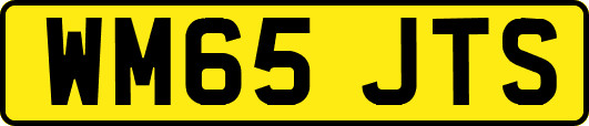 WM65JTS