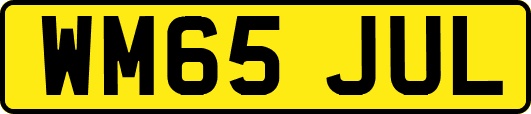 WM65JUL