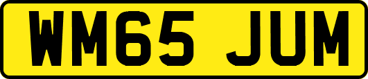 WM65JUM