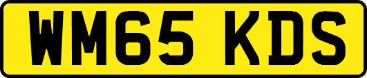 WM65KDS