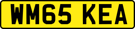 WM65KEA