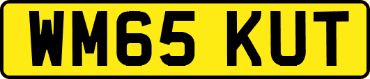 WM65KUT