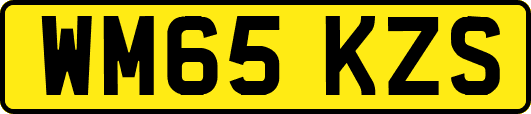 WM65KZS