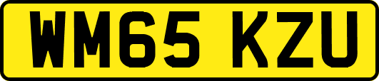 WM65KZU