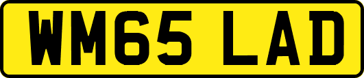 WM65LAD