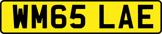 WM65LAE