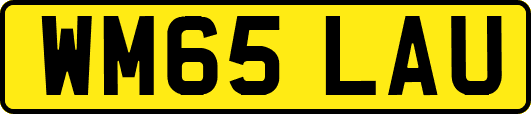 WM65LAU
