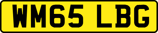 WM65LBG