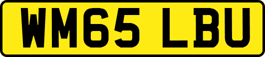 WM65LBU