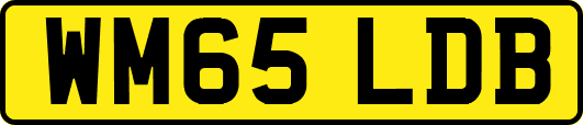 WM65LDB