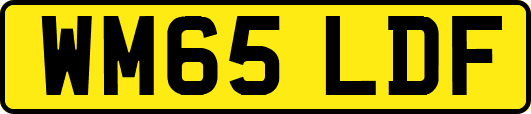 WM65LDF