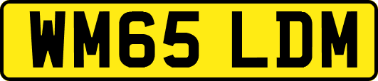 WM65LDM