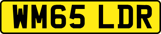 WM65LDR