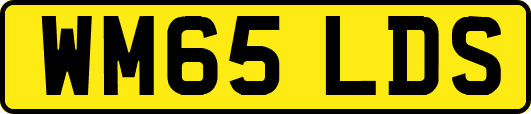 WM65LDS