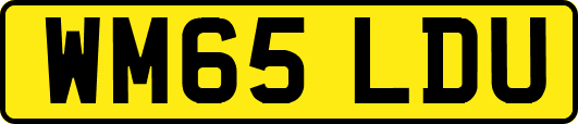 WM65LDU