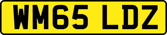 WM65LDZ