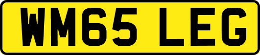 WM65LEG