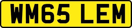 WM65LEM