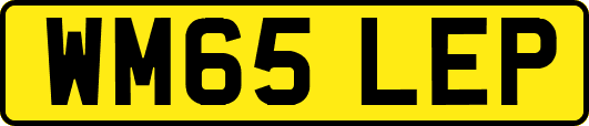 WM65LEP