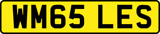 WM65LES
