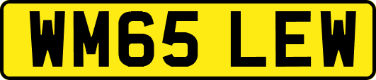 WM65LEW