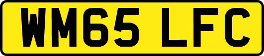 WM65LFC