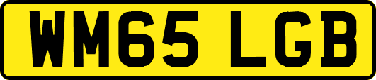 WM65LGB