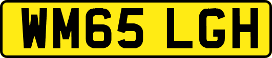 WM65LGH