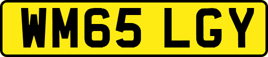 WM65LGY