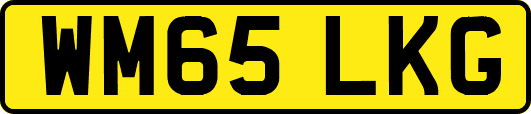 WM65LKG