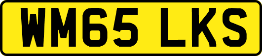 WM65LKS