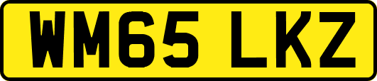 WM65LKZ