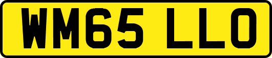 WM65LLO