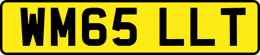 WM65LLT