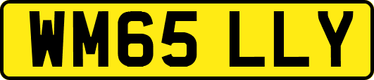 WM65LLY