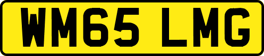 WM65LMG
