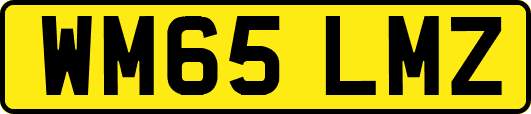 WM65LMZ