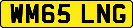 WM65LNG