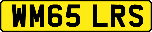 WM65LRS