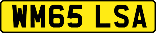 WM65LSA