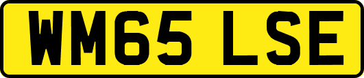 WM65LSE
